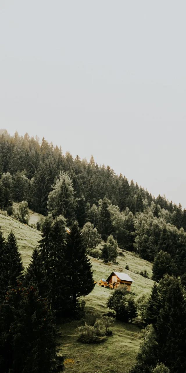 pexels-sara-sukosd-17005370.jpg